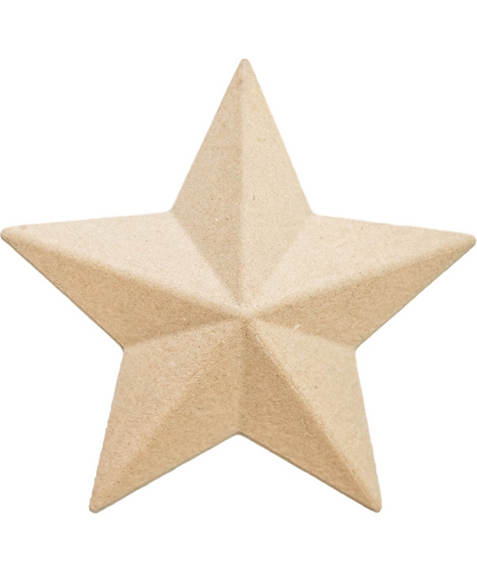 Papier Mache Star