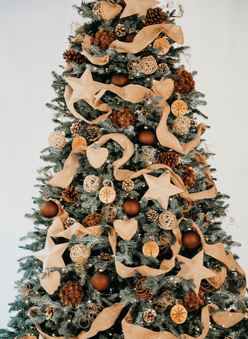 Rustic Tree Decor Set